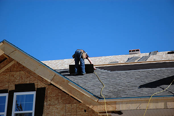 Best Roof Gutter Cleaning  in East Troy, WI