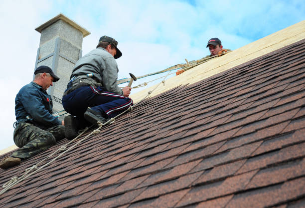 Best Metal Roofing Contractor  in East Troy, WI