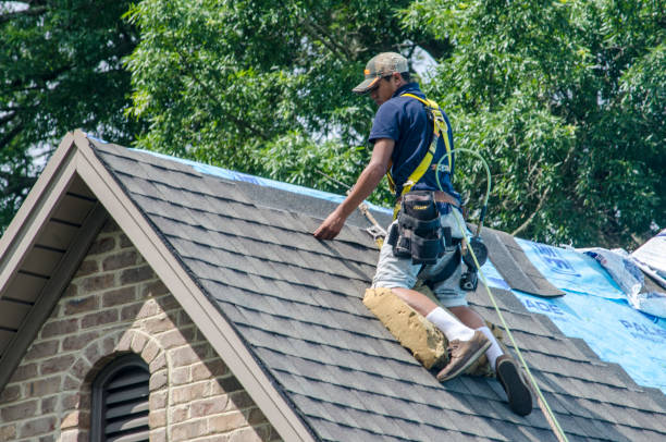 Best Roof Repair Services  in East Troy, WI